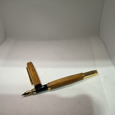 Great hall fountain pen