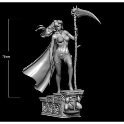 1/24 75mm 3d print model kit beautiful girl warrior monster slayer unpainted