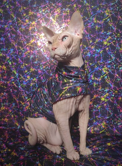 Metallic Rainbow Splat