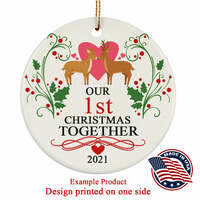 Cute Havanese Puppy Dog Christmas 2024 Ornament Ceramic Xmas Gift Decor Hanging - Thumbnail 2