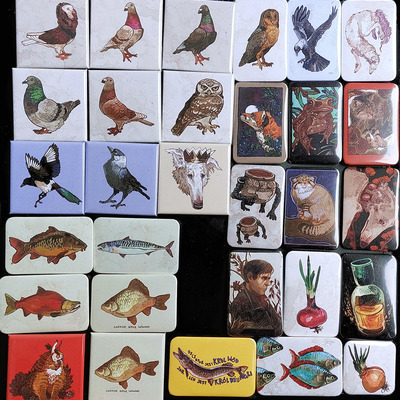  new pins: birds