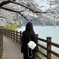 Genuine Leather Korean Ins Women Backpack White - Thumbnail 1