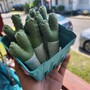 Felt Green Onion (Gronion) keychain-2