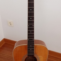 GUITARRA ACÚSTICA JIM  DEACOM