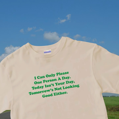 I can only please one person a day t shirt