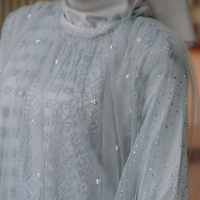 Aliza Tulle Dress - Luxury Tulle Sheer Dress, Modest tulle dress, muslim evening dress, modest graduation dress, Evening Bown Muslim, Modest  Wear - Thumbnail 4