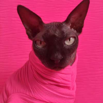 Neon pink wrinkle - Thumbnail 1