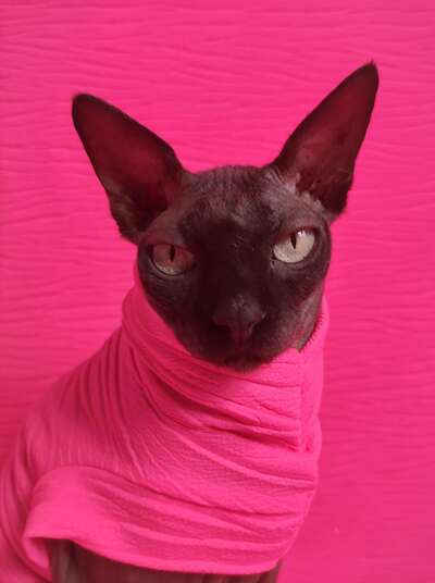 Neon Pink Wrinkle