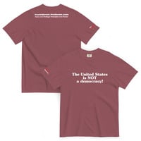The United States is NOT a Democracy - Thumbnail 4