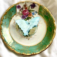 Butterfly Shell Pendant - Thumbnail 3