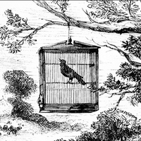  Paul Laurence Dunbar - Caged Birds Sing_  - Thumbnail 2