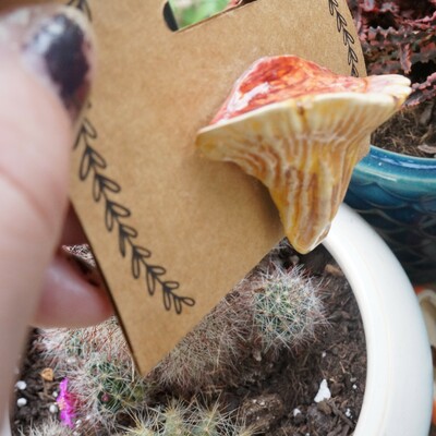 Flute mushroom pin