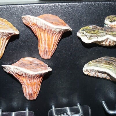 Mystery mushroom magnet - Thumbnail 1