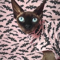 Laszlo Says Bat! Yeezus - Thumbnail 2