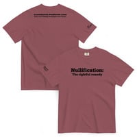 Nullification: The Rightful Remedy - Thumbnail 2