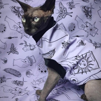Mystic in lilac