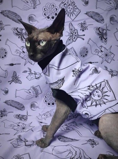 Mystic In Lilac