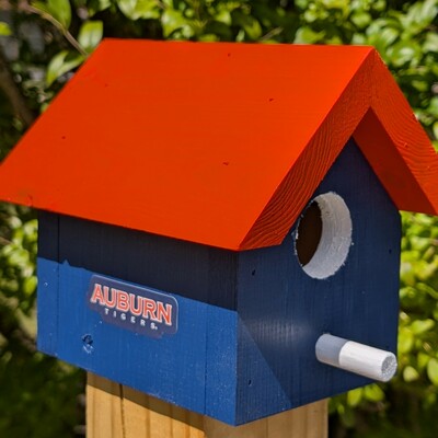 Auburn university bird house