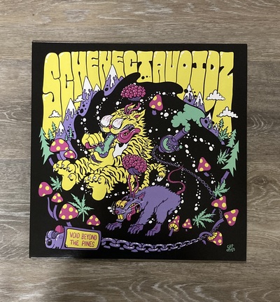 Schenectavoidz - Void Beyond the Pines 12" LP