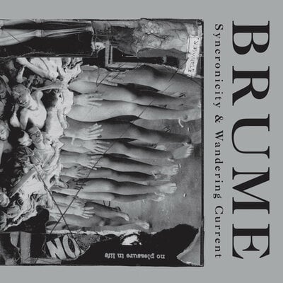 Brume 'Synchronicity & Wandering Current' CD
