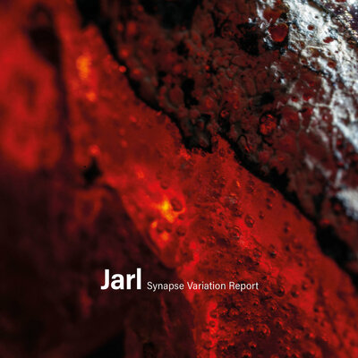 Jarl 'Synapse Variation Report' C-60