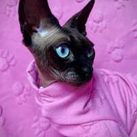 Minnie - Knit Fleece - Thumbnail 1