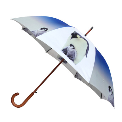 96022. penguin umbrella