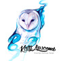 Galaxy Owl - Print-1