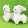Set 2 Amuse limited! [Bridal alpacasso] ☆ Wedding alpaca Girl-1