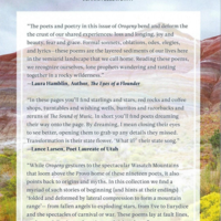 Orogeny: Volume 2 - Thumbnail 1