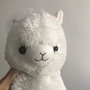 Amuse limited! [Bridal alpacasso] ☆ Big Size -3