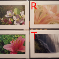 Set of 4 Photo Prints - 5" X 7" With Mat - Thumbnail 4